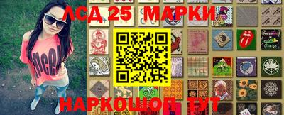 молекула духа Будённовск