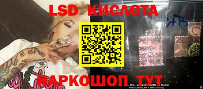 молекула духа Будённовск
