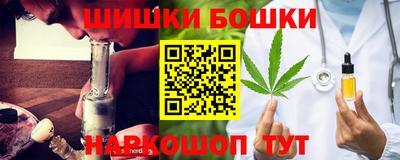 молекула духа Будённовск